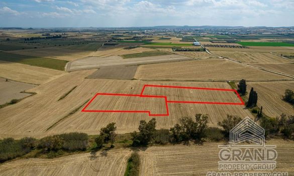Field - G8356 - photo-3
