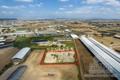 Field - G8881 - photo-3