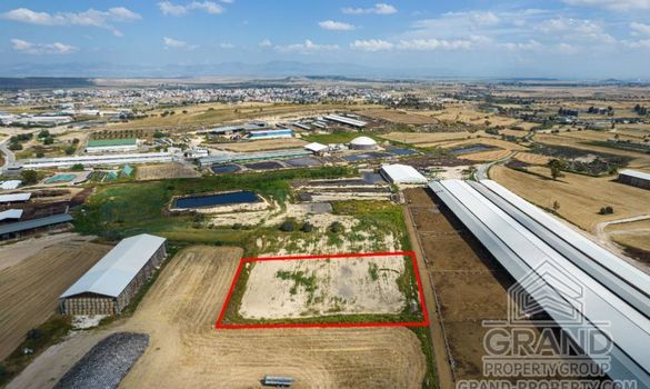 Field - G8881 - photo-3