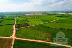 Field - G7289 - photo-2