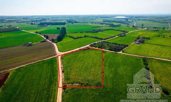 Field - G7289 - photo-3