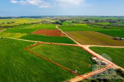 Field - G7289 - photo-4