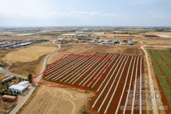 Field - G7788 - photo-1