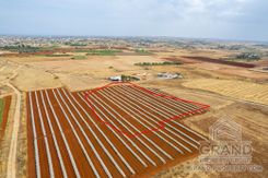 Field - G7788 - photo-3
