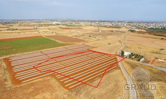 Field - G7788 - photo-4