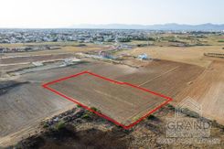 Field - G8955 - photo-3