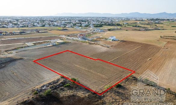 Field - G8955 - photo-3