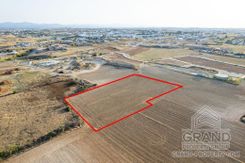 Field - G8955 - photo-4