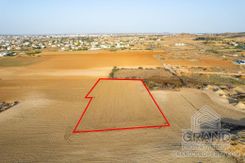 Field - G8955 - photo-1