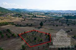 Field - G8935 - photo-2