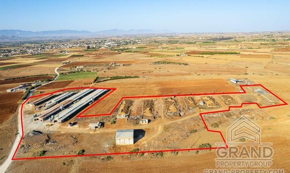 Field - G8259 - photo-3