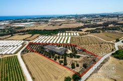 Field - G8037 - photo-2