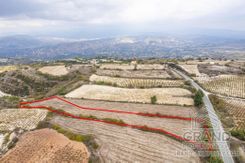 Field - G7938 - photo-1