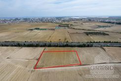 Field - G8639 - photo-2