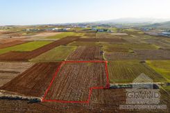 Field - G8756 - photo-1