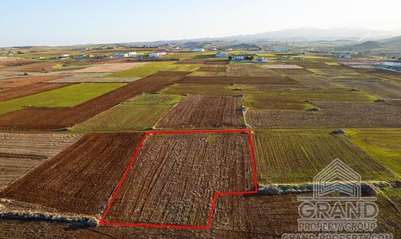 Field - G8756 - photo-1