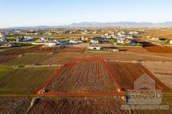 Field - G8756 - photo-2
