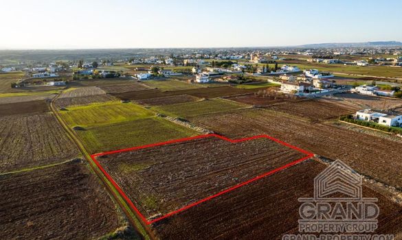 Field - G8756 - photo-3