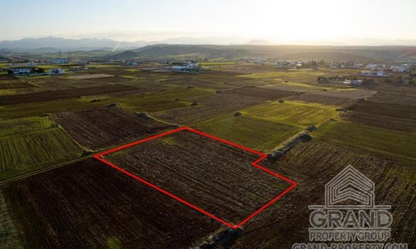 Field - G8756 - photo-4