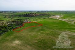Field - G9218 - photo-3