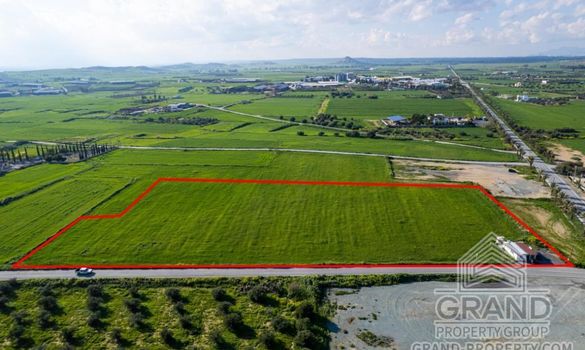 Field - G9224 - photo-2