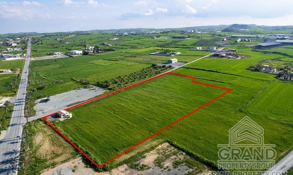 Field - G9224 - photo-4