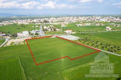 Field - G9224 - photo-5