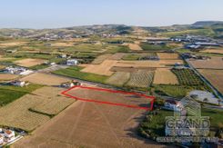 Field - G9227 - photo-1