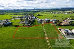 Field - G9226 - photo-1