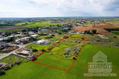 Field - G8429 - photo-5