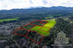 Field - G7769 - photo-3