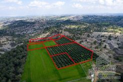 Field - G7769 - photo-4