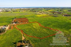 Field - G8879 - photo-1
