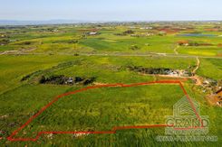Field - G8879 - photo-3