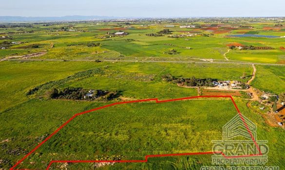 Field - G8879 - photo-3