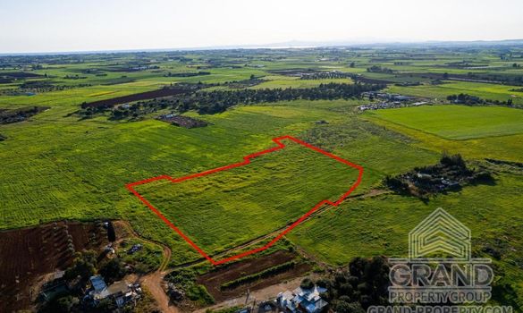 Field - G8879 - photo-5