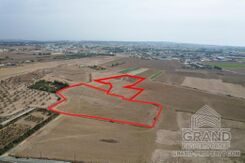 Field - G8339 - photo-1