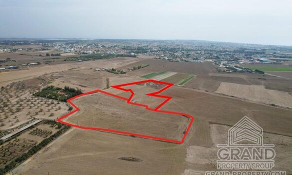 Field - G8339 - photo-1