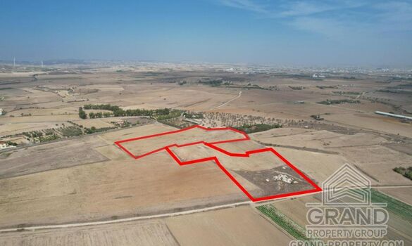 Field - G8339 - photo-2