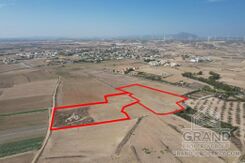 Field - G8339 - photo-3