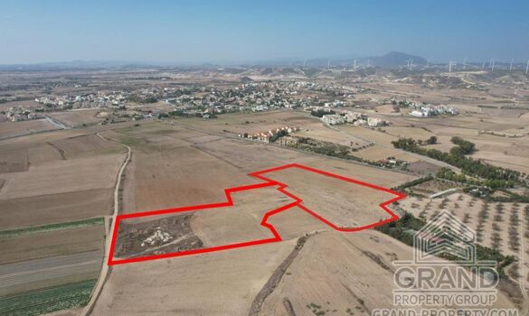 Field - G8339 - photo-3