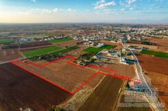 Field - G8517 - photo-1