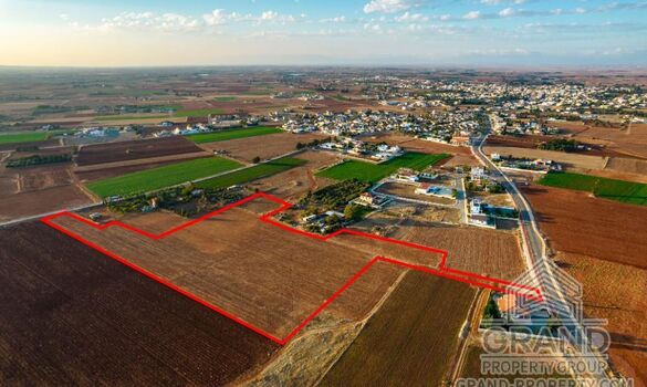 Field - G8517 - photo-1