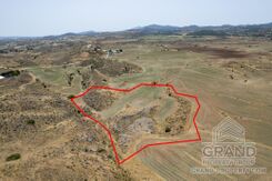 Field - G9039 - photo-3
