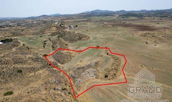 Field - G9039 - photo-3