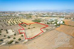 Field - G8478 - photo-2
