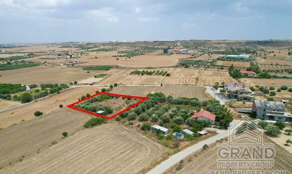 Field - G9148 - photo-3