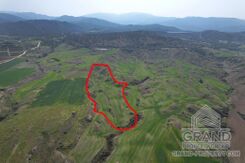 Field - G7796 - photo-2