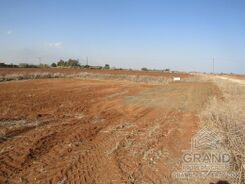 Field - G9199 - photo-2