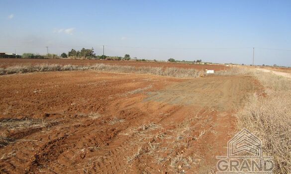 Field - G9199 - photo-2